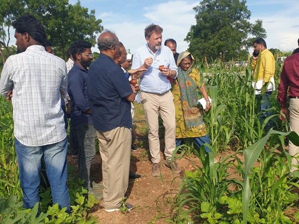 कूटनीति का नया टूल बना गाय का गोबर, जर्मन राजदूत ने भारत की पहल को सराहा, तस्वीरें कीं साझा