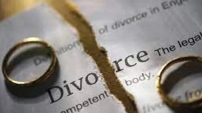 पति ने तलाक मांगने की हैरान करने वाली वजह बताई, कहा- पत्नी घर में कुत्ते ले आई