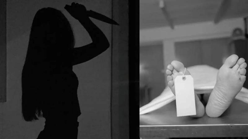 पति की गुमशुदगी और ‘वुड ग्राइंडर’ की गुत्थी, एक छोटी सी चूक ने खोला हत्या का राज पति की गुमशुदगी और ‘वुड ग्राइंडर’ की गुत्थी, एक छोटी सी चूक ने खोला हत्या का राज