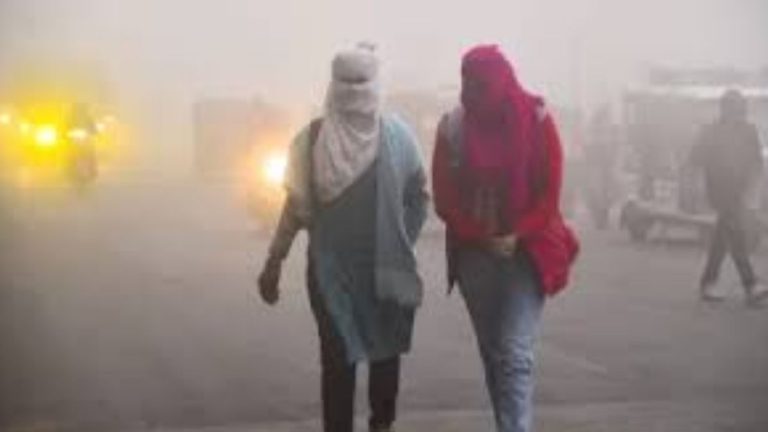 दिल्ली समेत 10 राज्यों में चलेगी शीतलहर, घने कोहरे पर मौसम विभाग ने दिया अपडेट