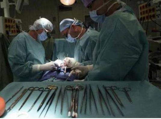 पांच साल तक पेट में रहा सर्जिकल औजार, स्वास्थ्य मंत्री ने दिए जांच के आदेश